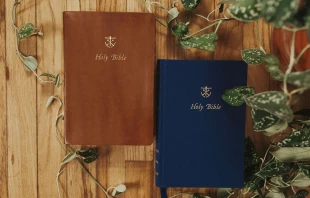 Annotated Bible Ave Maria Press